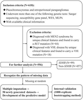 Development and internal validation of a novel predictive model for SDHB mutations in pheochromocytomas and retroperitoneal paragangliomas